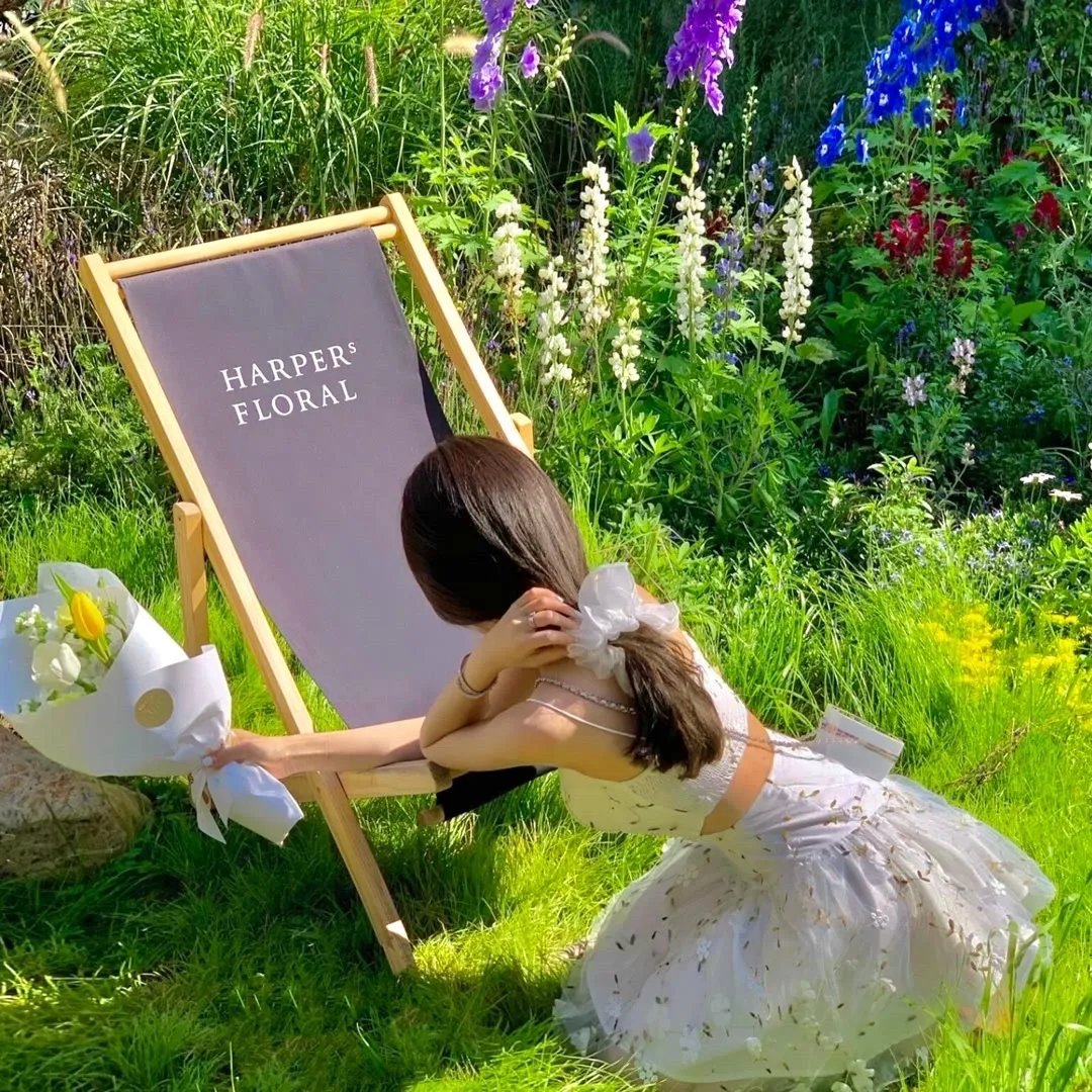 百姓贵族第二季